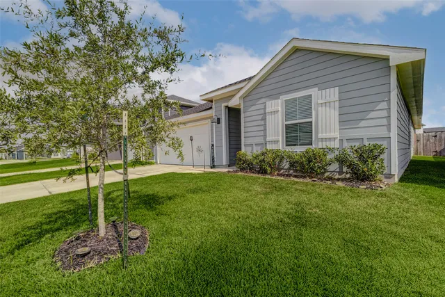 a backyard of a house with plants and large tree