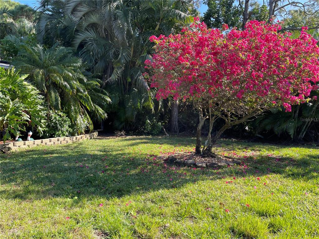 5778 Stringfellow Road St. James City, FL 33956 - Photo 22 of 90 Gallery Image 22