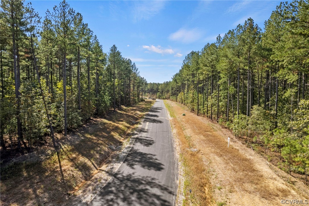 1120 Cardinal Crest Terrace Midlothian, VA 23113 - Photo 6 of 6 a view of a yard with trees