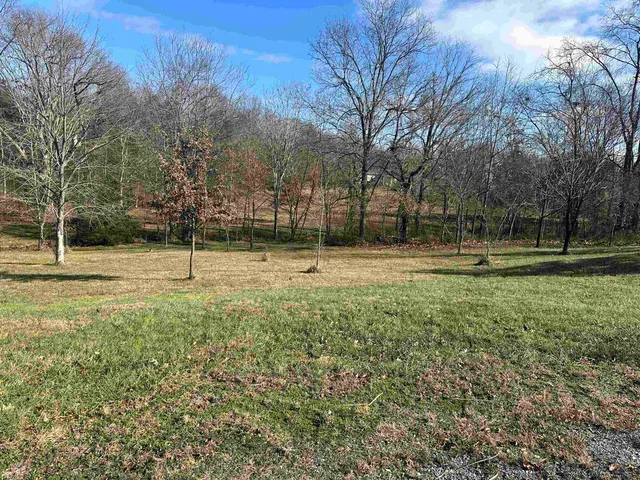 $23,500 | 0 Joyce Lane, Vienna, IL 62995