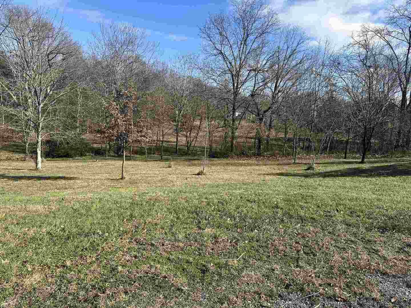 a view of a park with large trees