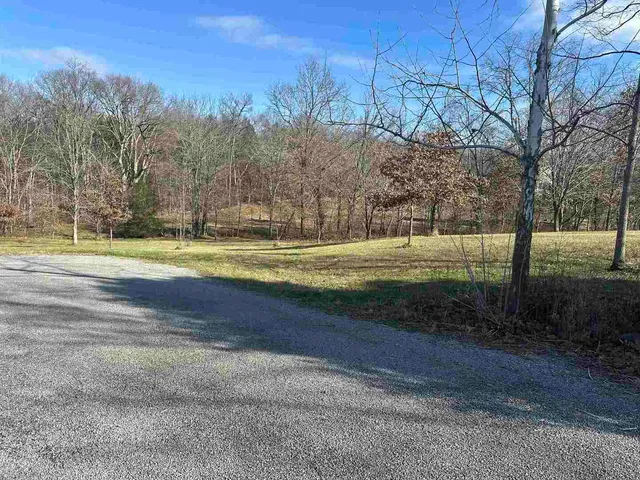 a view of a yard with large trees