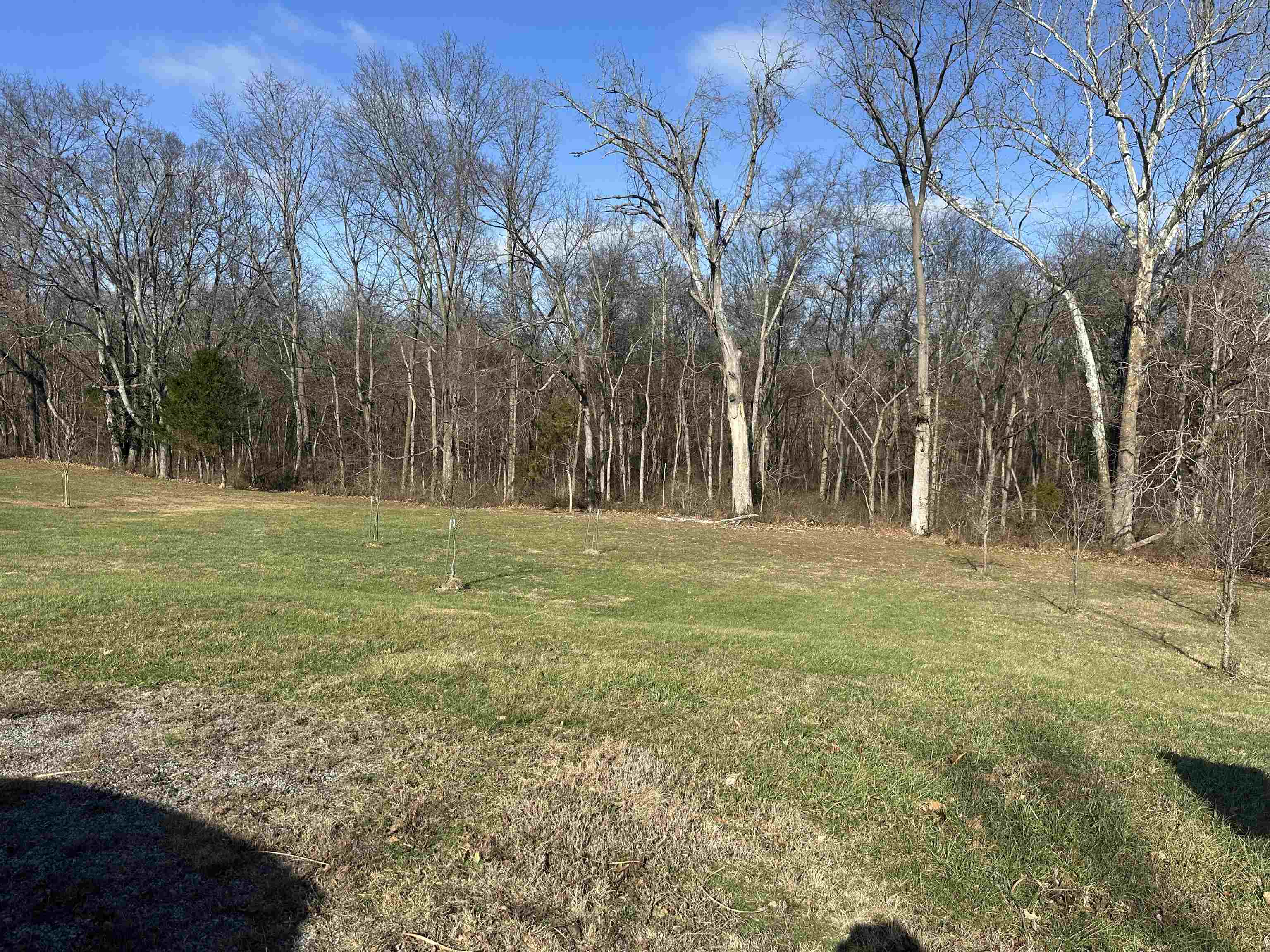 0 Joyce Lane Vienna, IL 62995 - Photo 3 of 4