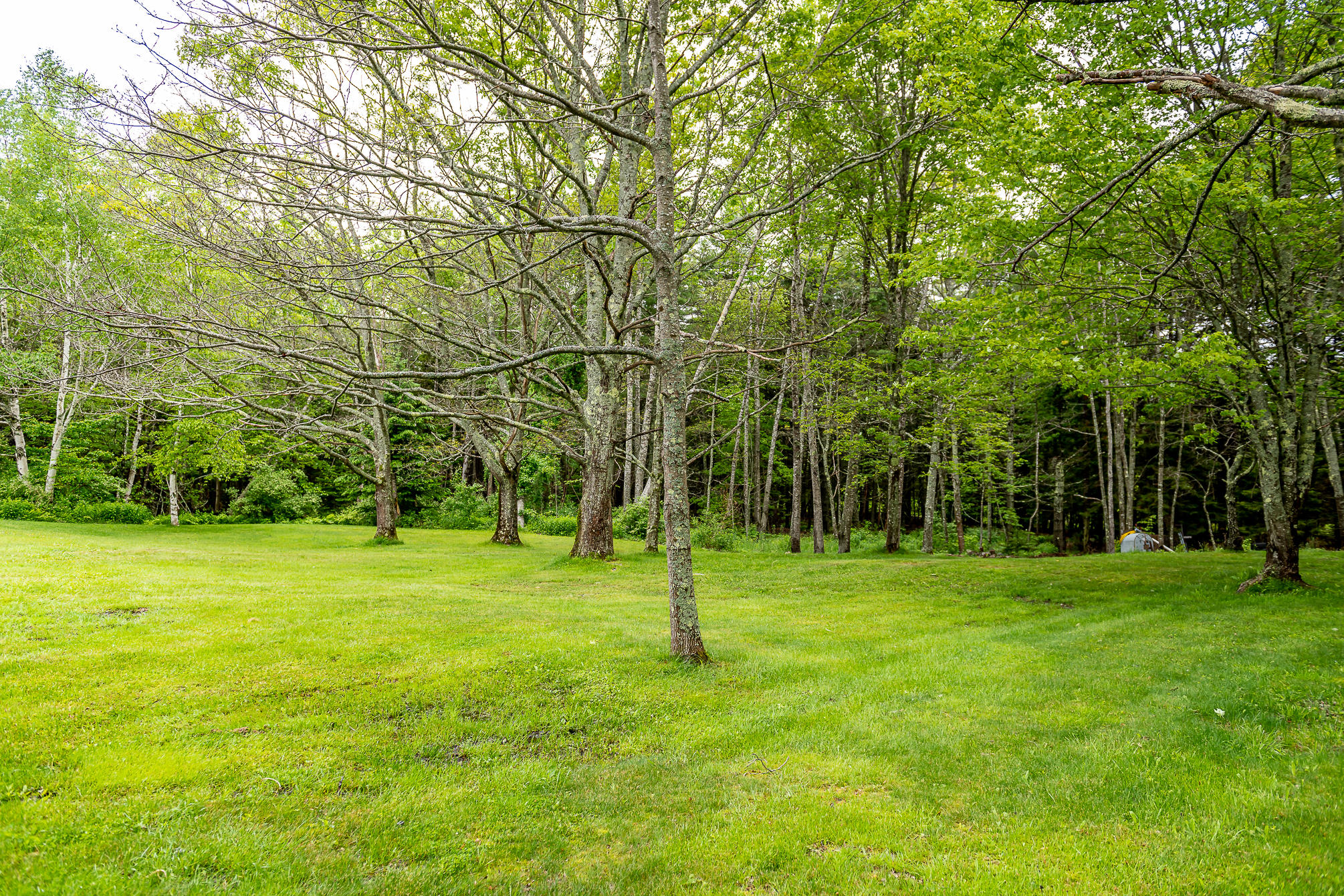 942 Harpswell Neck Road Harpswell, ME 04079 - Photo 41 of 41 DSC_0026