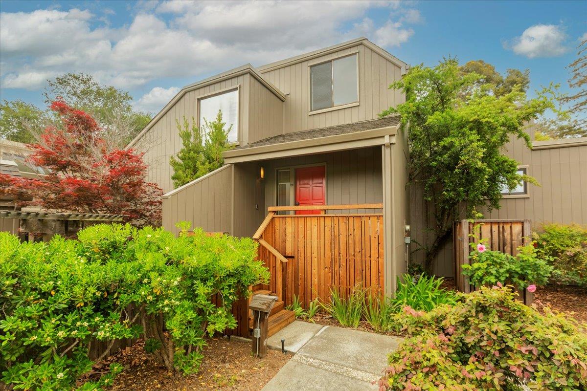 a view of a house with small yard plants and large tree