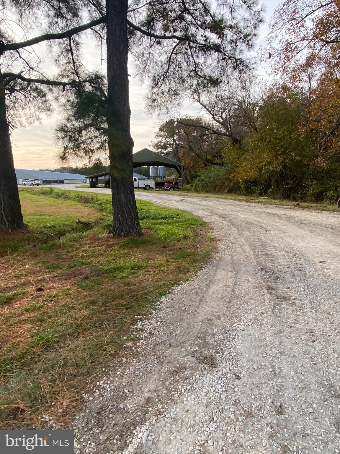 One of my favorite views