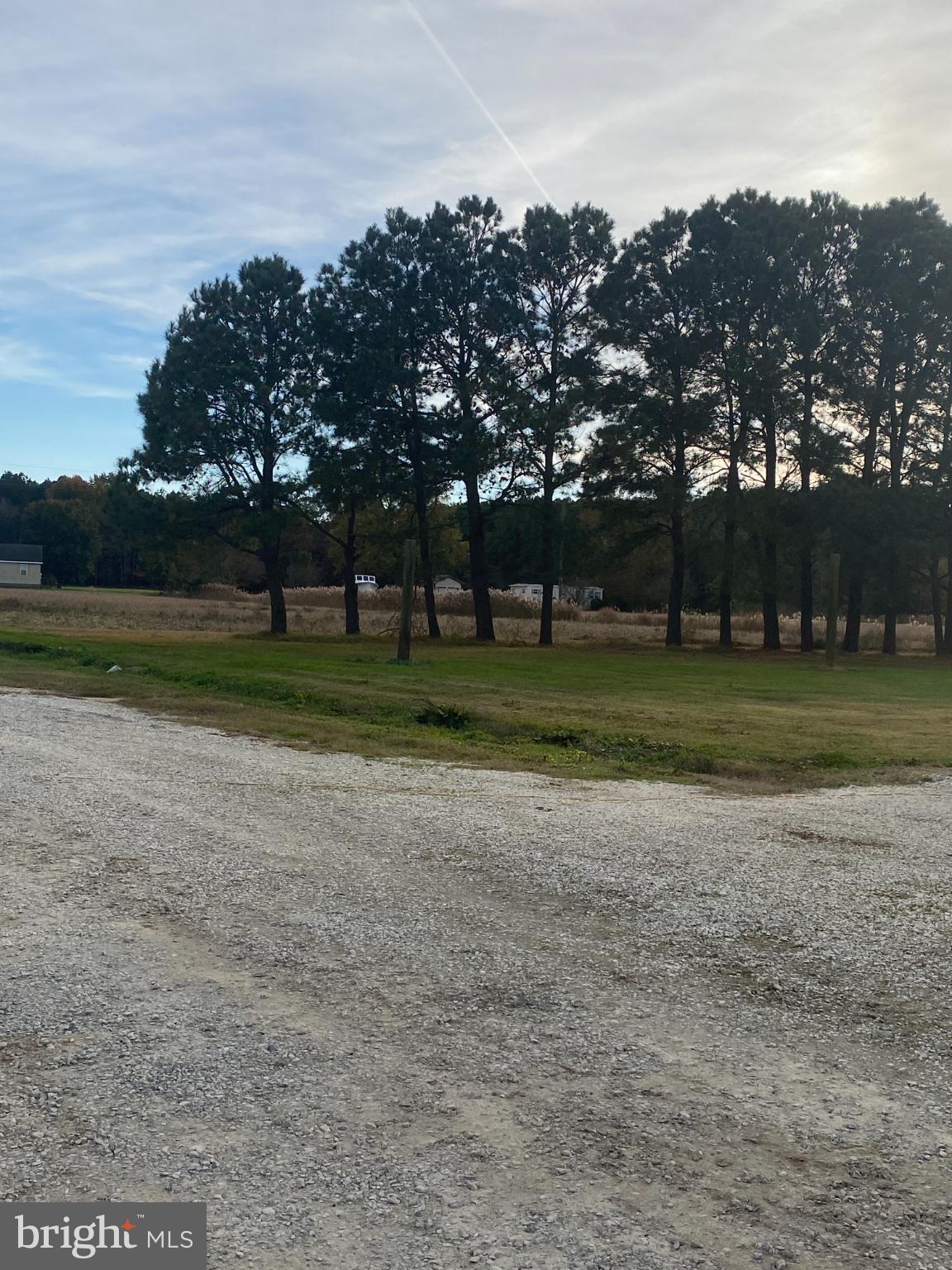 27160 Cash Corner Road Crisfield, MD 21817 - Photo 13 of 62 pines