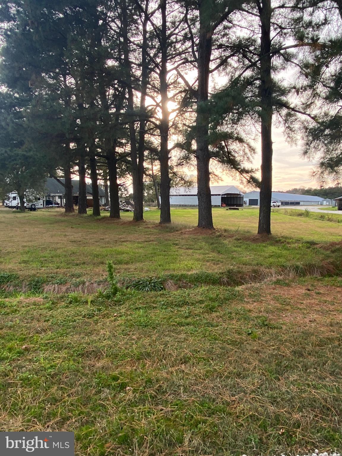 27160 Cash Corner Road Crisfield, MD 21817 - Photo 15 of 62 a view of a trees with a yard