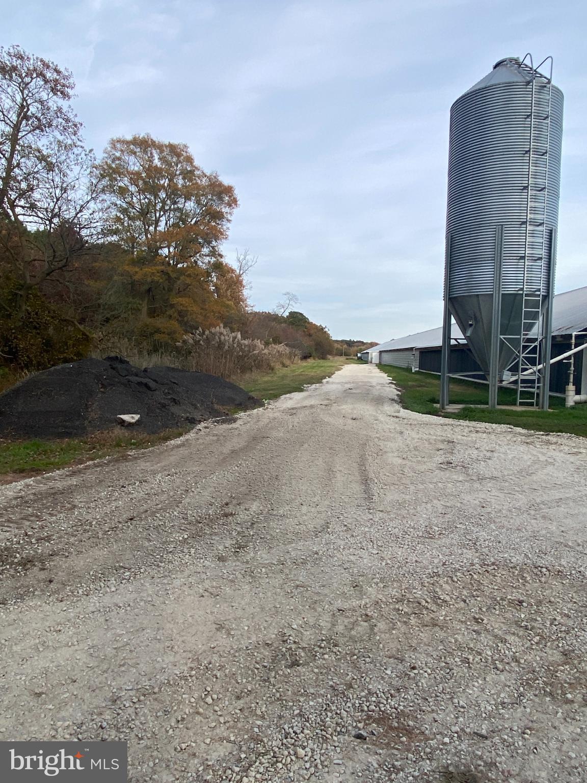 27160 Cash Corner Road Crisfield, MD 21817 - Photo 16 of 62 a view of a field with an trees
