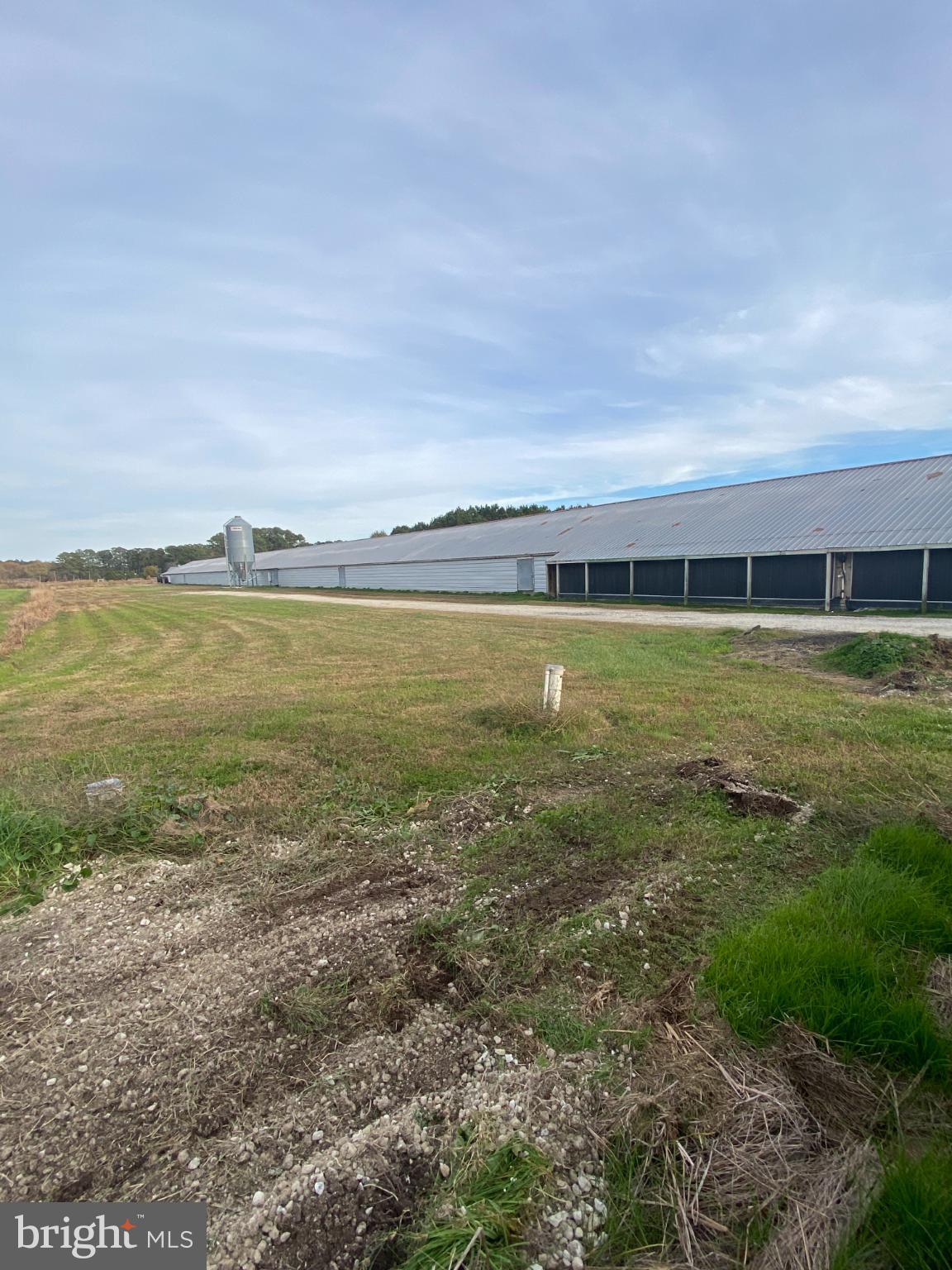 27160 Cash Corner Road Crisfield, MD 21817 - Photo 2 of 62 poultry house side view