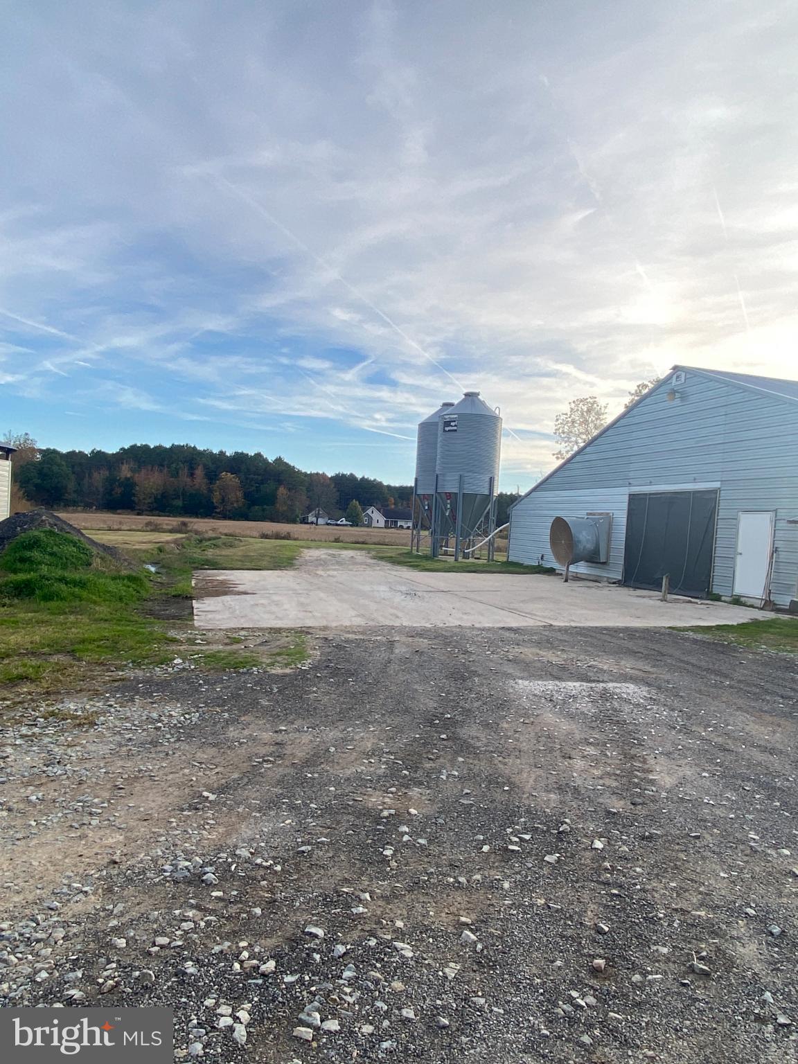 27160 Cash Corner Road Crisfield, MD 21817 - Photo 24 of 62 a view of a house with a yard and a large tree