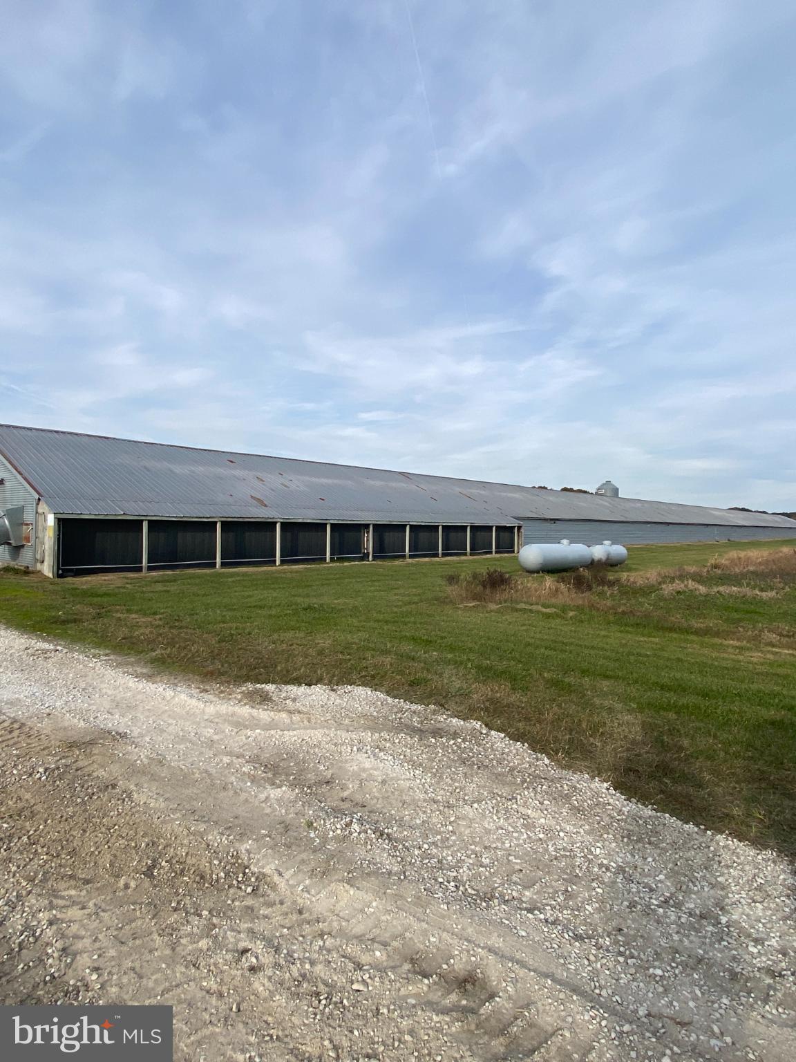 27160 Cash Corner Road Crisfield, MD 21817 - Photo 3 of 62 a view of a house next to a yard with big trees