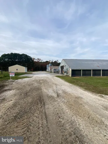 a view of a field with grass and trees
