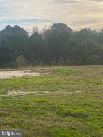a view of a green field
