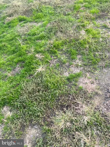 a view of lake with mountain