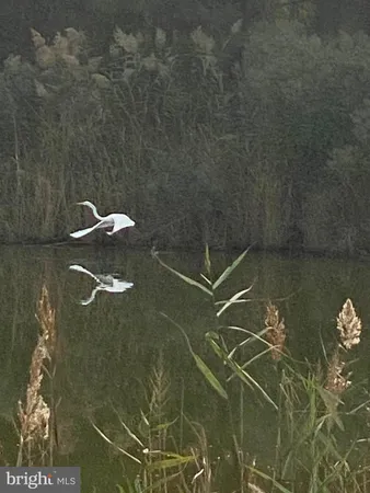 a view of a swimming pool with outdoor space