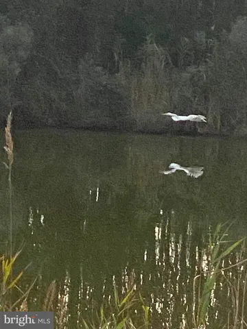 a view of lake with mountain