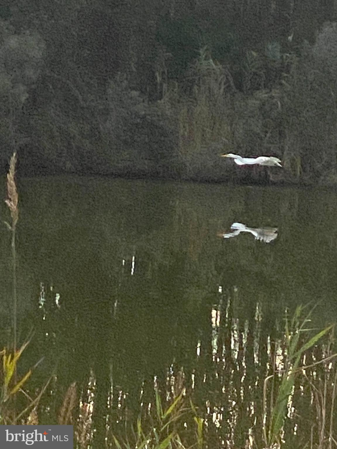 27160 Cash Corner Road Crisfield, MD 21817 - Photo 39 of 62 a view of a bathroom