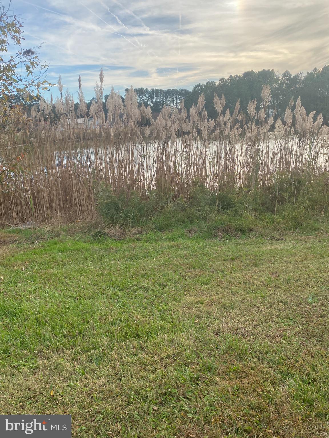 27160 Cash Corner Road Crisfield, MD 21817 - Photo 41 of 62 a view of outdoor space and yard