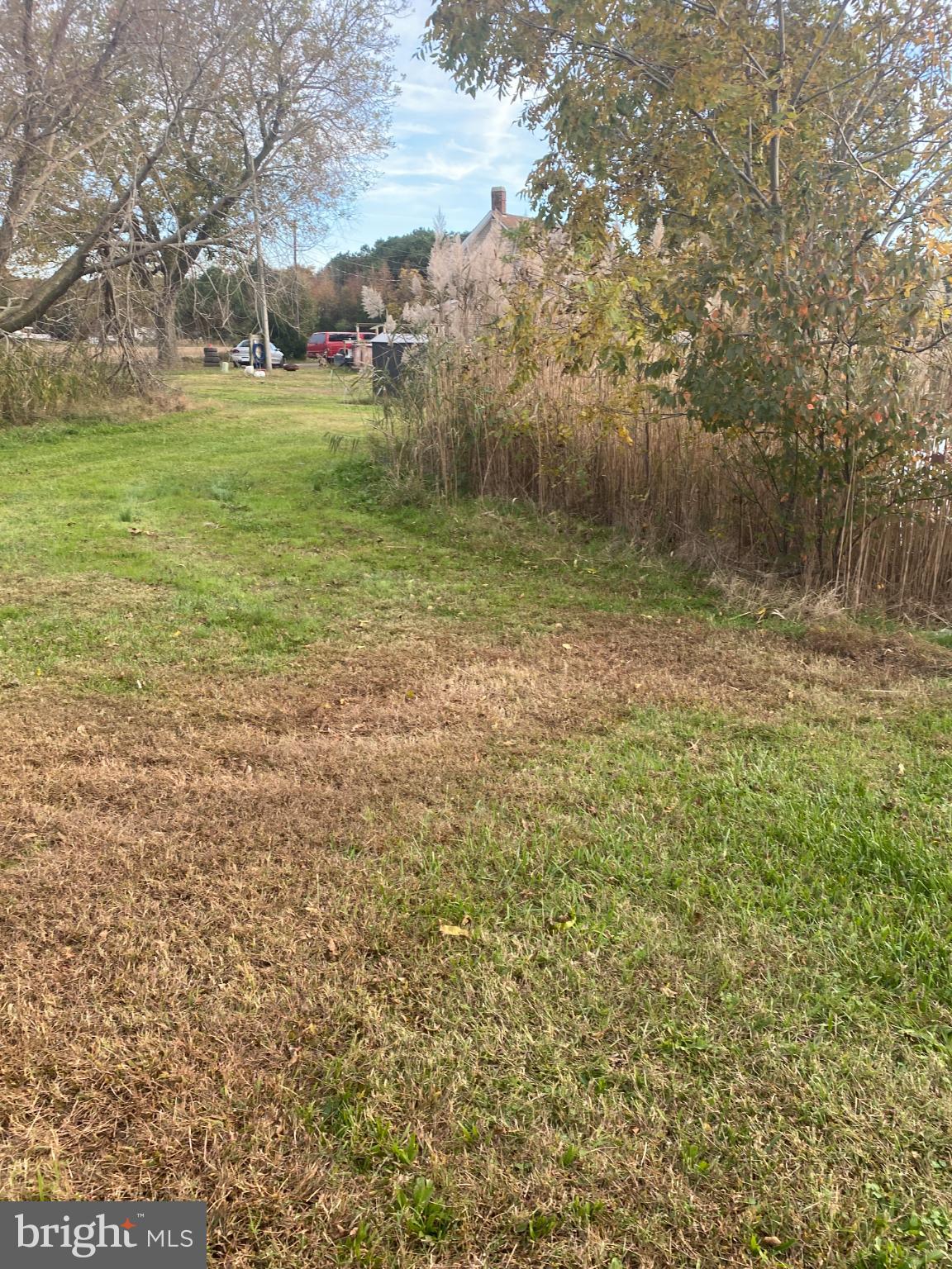 27160 Cash Corner Road Crisfield, MD 21817 - Photo 42 of 62 a view of a green field
