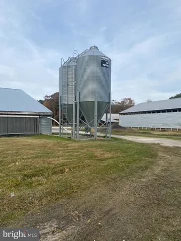 a view of yard with trees