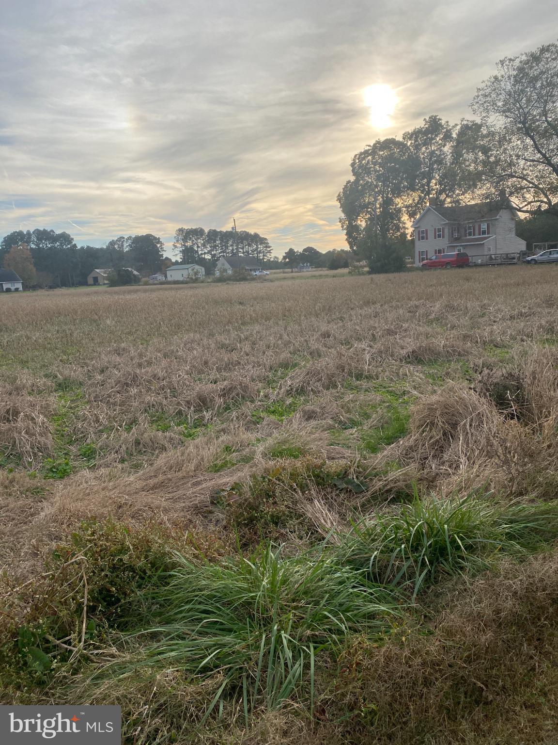 27160 Cash Corner Road Crisfield, MD 21817 - Photo 49 of 62 additional land