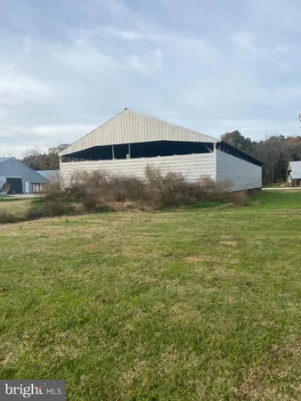 a view of yard with trees