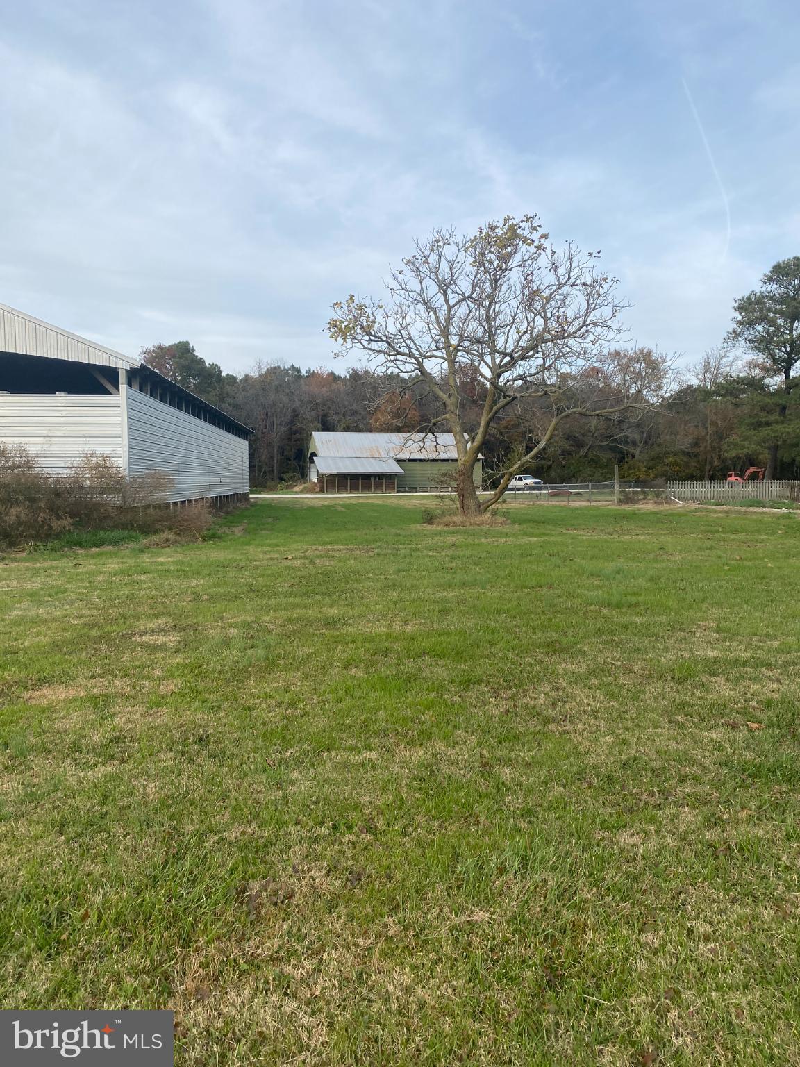 27160 Cash Corner Road Crisfield, MD 21817 - Photo 51 of 62 a backyard of a house with lots of green space