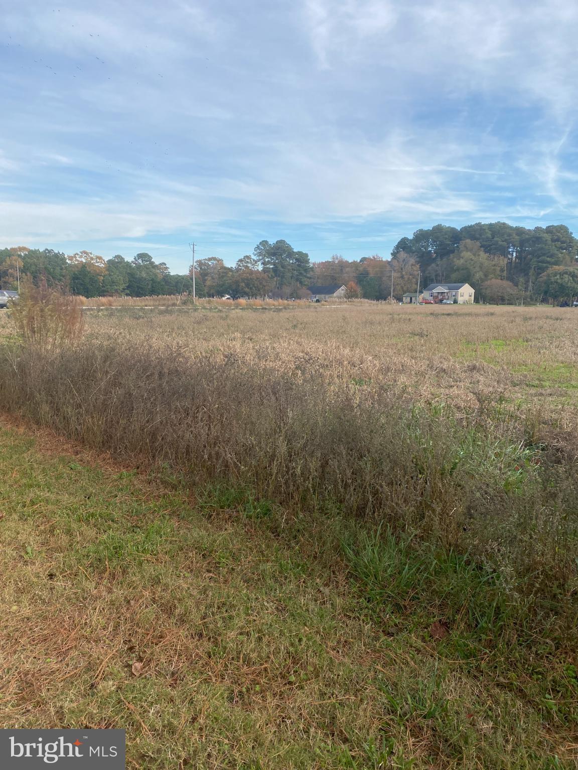 27160 Cash Corner Road Crisfield, MD 21817 - Photo 58 of 62 a view of lake with mountain in background