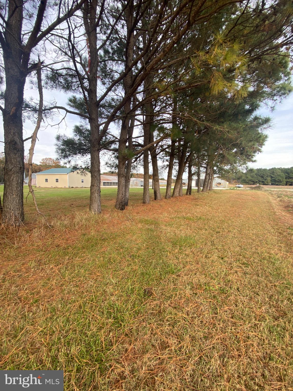 27160 Cash Corner Road Crisfield, MD 21817 - Photo 60 of 62 a view of an ocean and trees