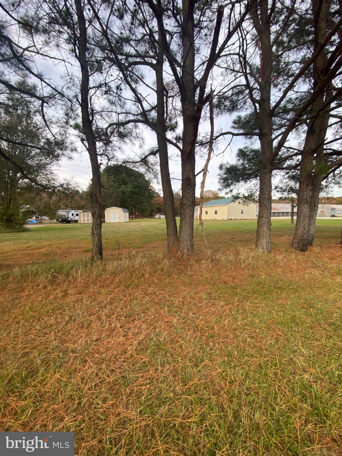 27160 Cash Corner Road Crisfield, MD 21817 - Photo 61 of 62 Serene landscape with tall trees and open space.