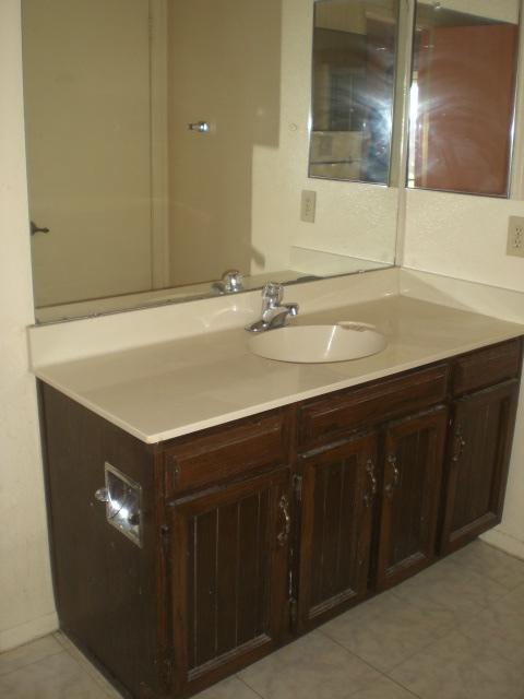 4728 East Carson Road Phoenix, AZ 85042 - Photo 10 of 10 BATH