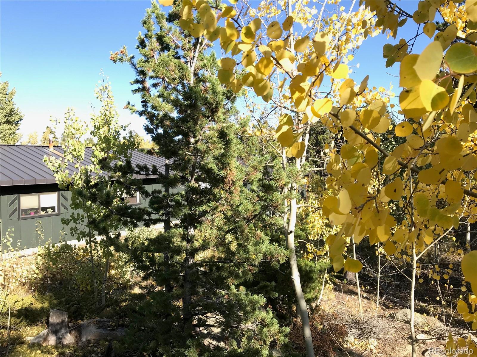 47 Debra Ann Road Golden, CO 80403 - Photo 40 of 40 Gallery Image 40