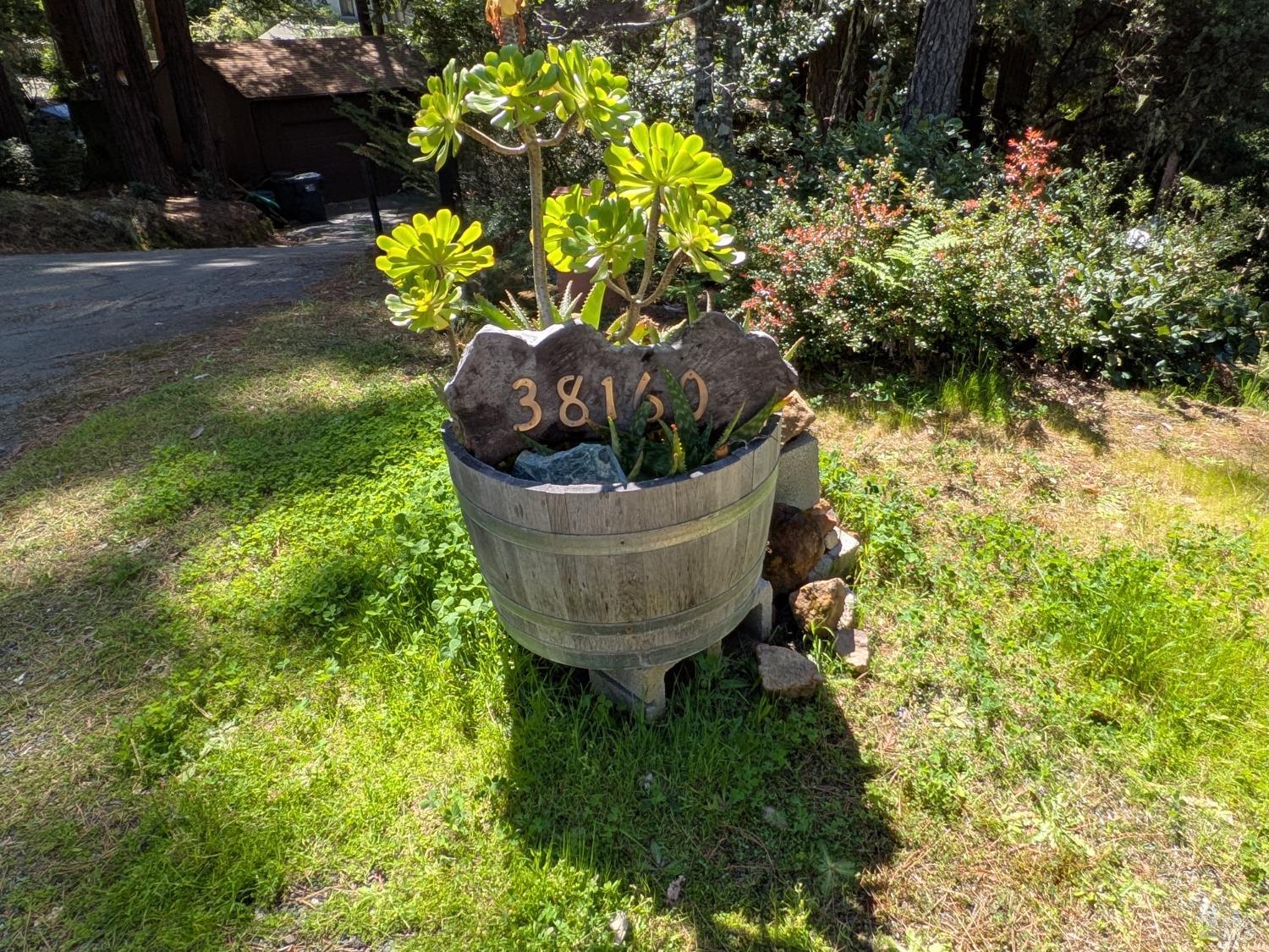 a view of a garden in a yard
