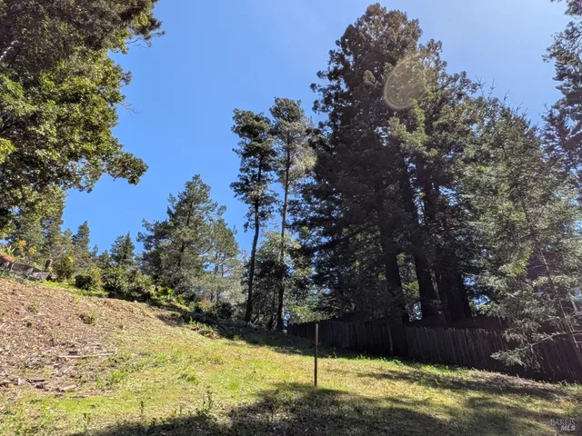 a view of a yard covered in snow