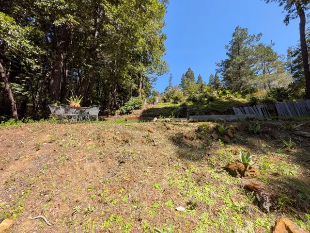 a backyard of a house with lots of trees