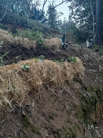 $90,000 | 38160 Ocean Ridge Drive, Gualala, CA 95445