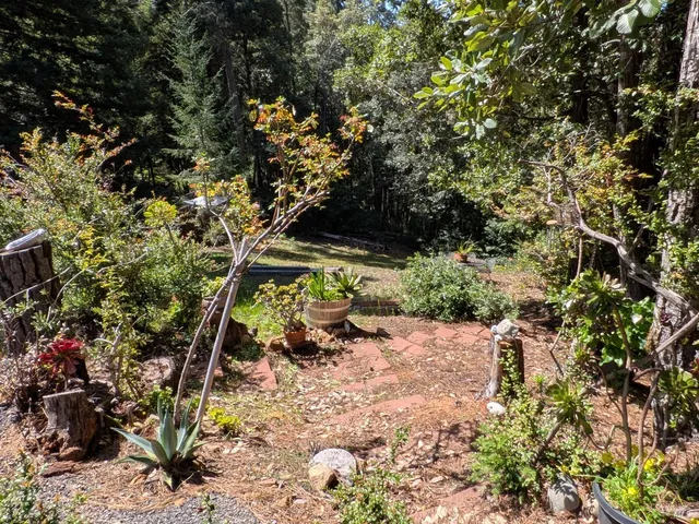 a view of an outdoor space with a tree
