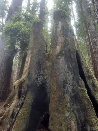 $90,000 | 38160 Ocean Ridge Drive, Gualala, CA 95445