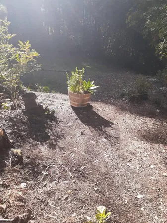 $90,000 | 38160 Ocean Ridge Drive, Gualala, CA 95445