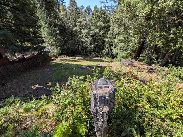 a view of a yard with plants