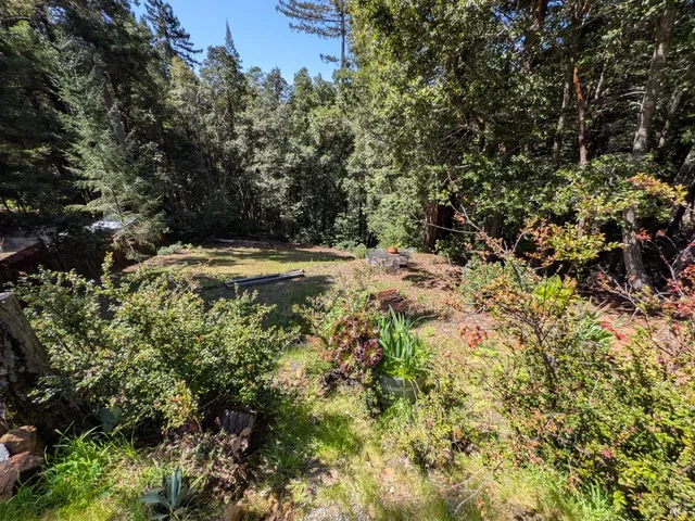 a view of a yard with a tree