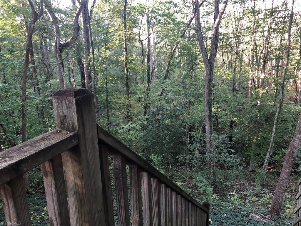 1151 Ed Booth Road Westfield, NC 27053 - Photo 8 of 29 Stand on the deck and watch the deer.