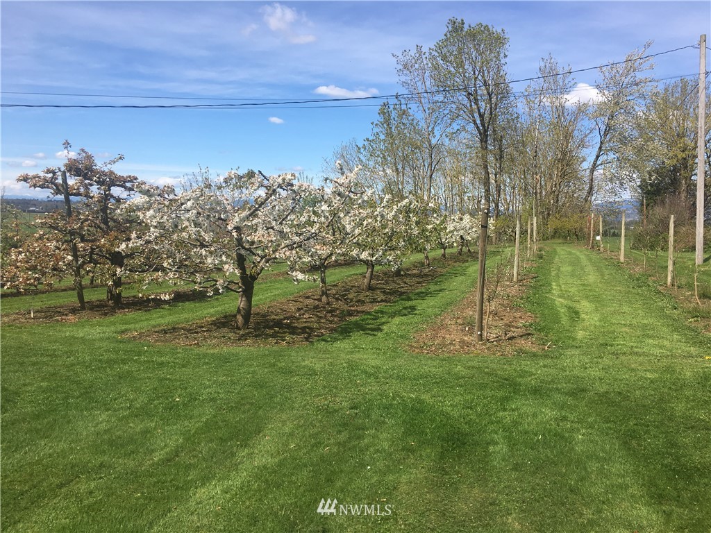 8883 North Pass Road Sumas, WA 98295 - Photo 13 of 25 a view of a garden