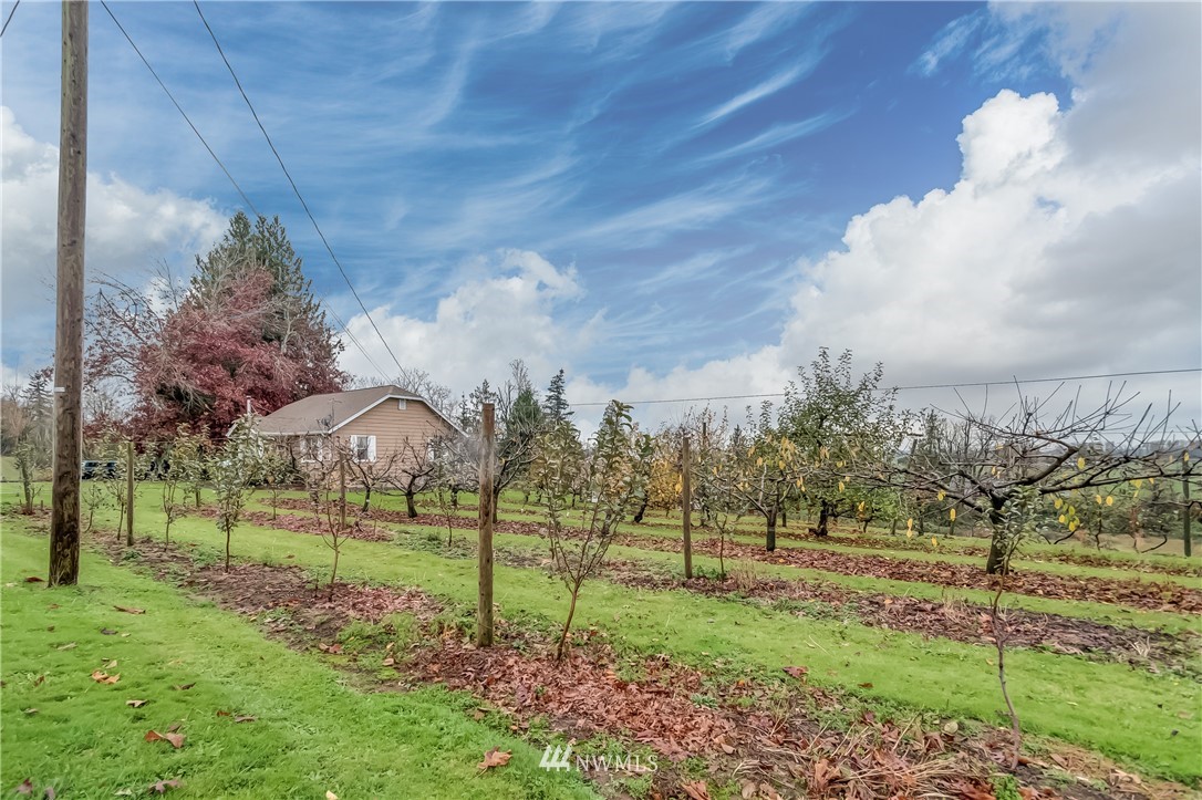 8883 North Pass Road Sumas, WA 98295 - Photo 8 of 25 a view of a park