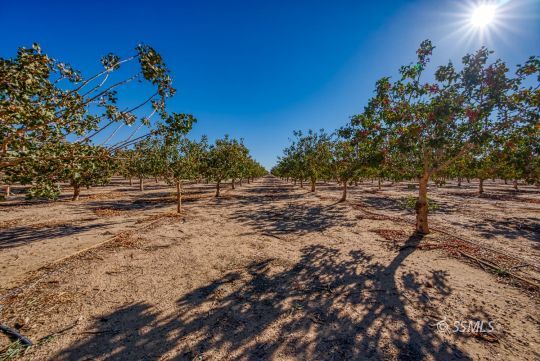 3835 West Ridgecrest Boulevard Ridgecrest, CA 93555 - Photo 48 of 50 a view of a yard