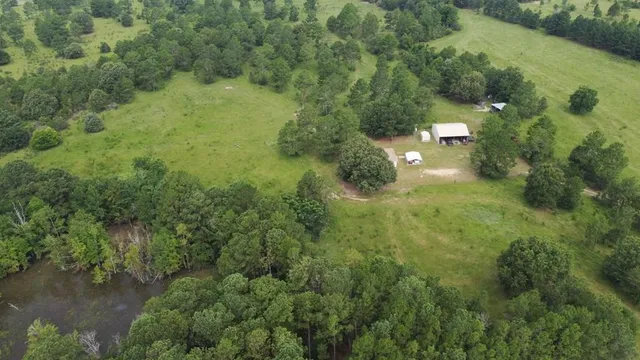 a view of a forest with a houses