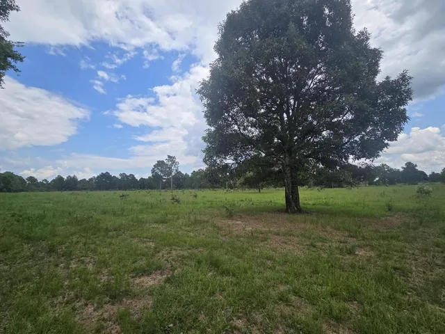 a view of a water pond with green yard