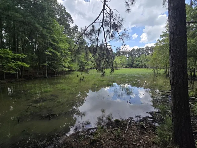 $475,000 | 3599 Ga Highway, Mauk, GA 31058