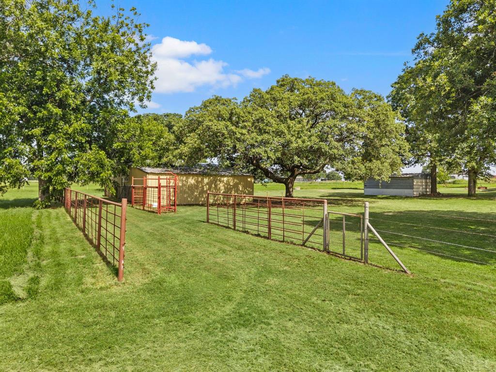 515 New Highland Road Springtown, TX 76082 - Photo 4 of 38 Expansive green lawn with mature trees and perimeter fencing